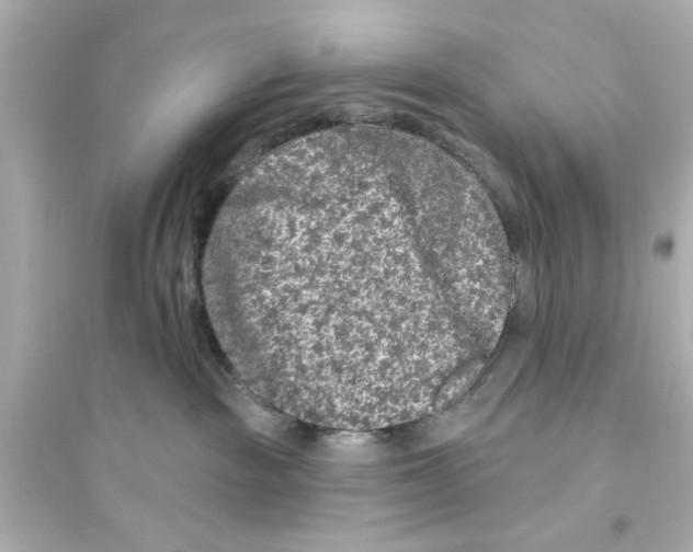 X0000093580189200711121109