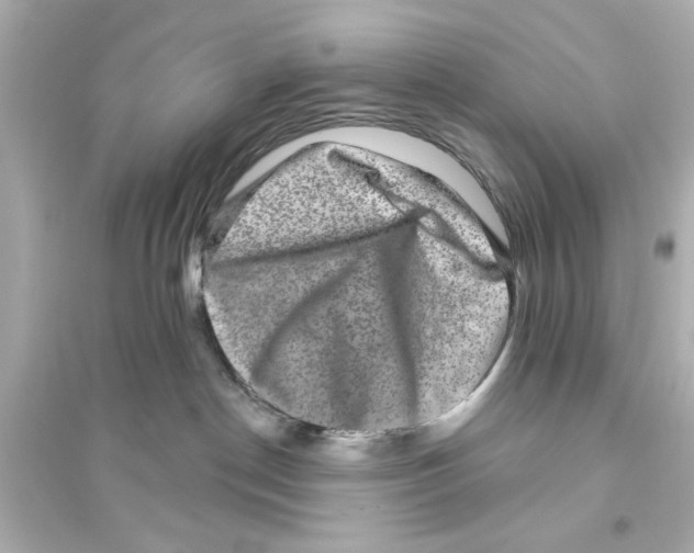 X0000093580190200711121109