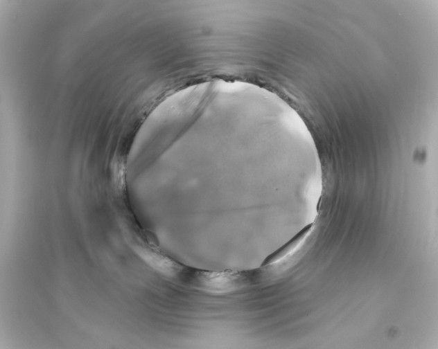 X0000093580191200711121110