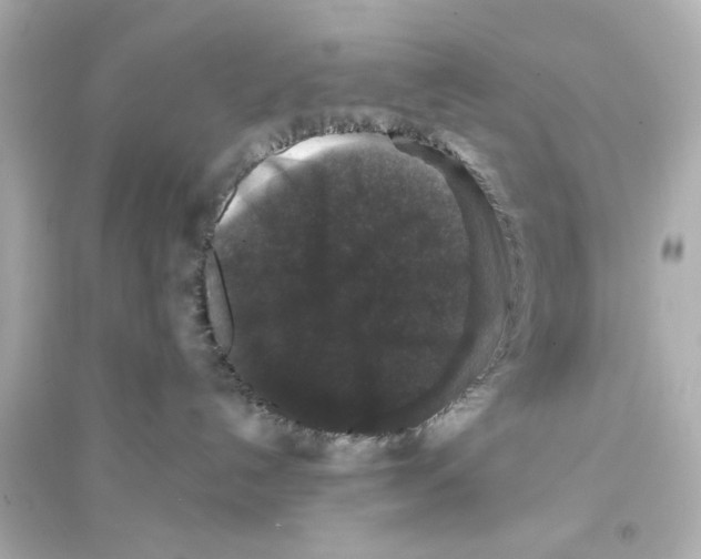 X0000093580192200711121110