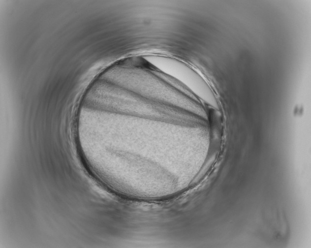 X0000093580193200711121109