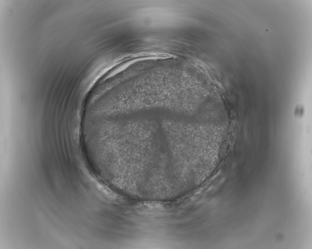 X0000093580194200711121109