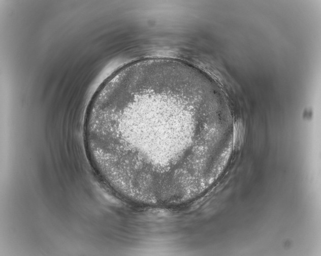 X0000093580195200711121108