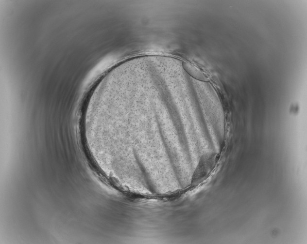 X0000093580197200711121108