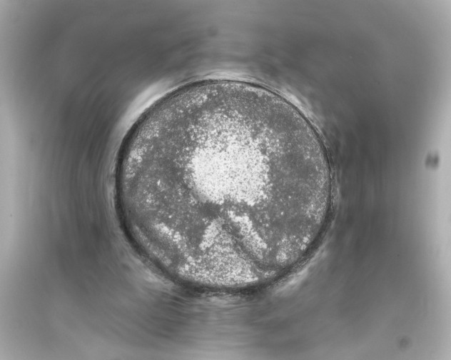 X0000093580199200711121108