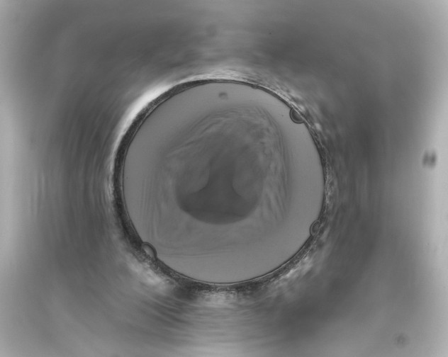 X0000093580200200711121108