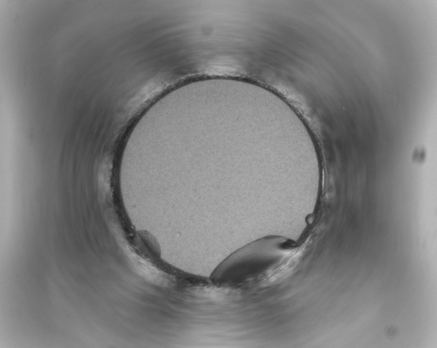 X0000093580201200711121108