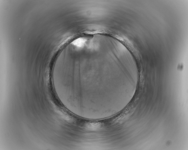 X0000093580202200711121108