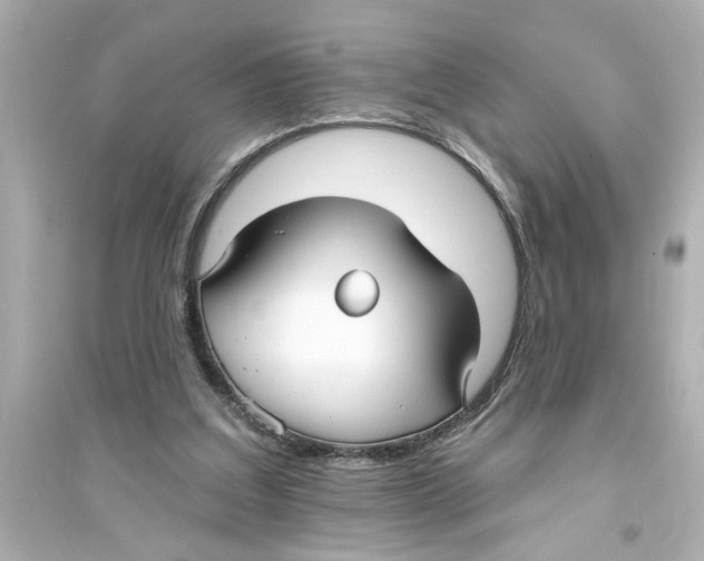 X0000093580203200711121108