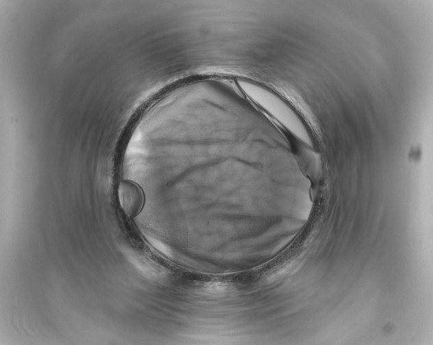 X0000093580204200711121108