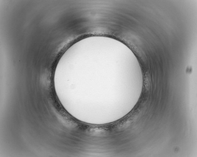 X0000093580208200711121108