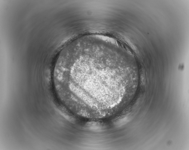 X0000093580211200711121108