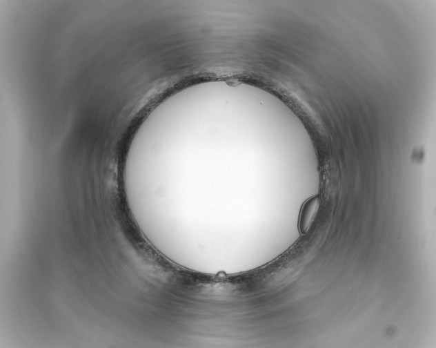 X0000093580212200711121108