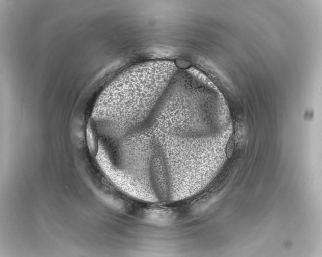 X0000093580215200711121108