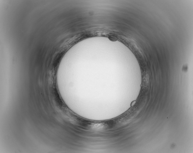 X0000093580218200711121108