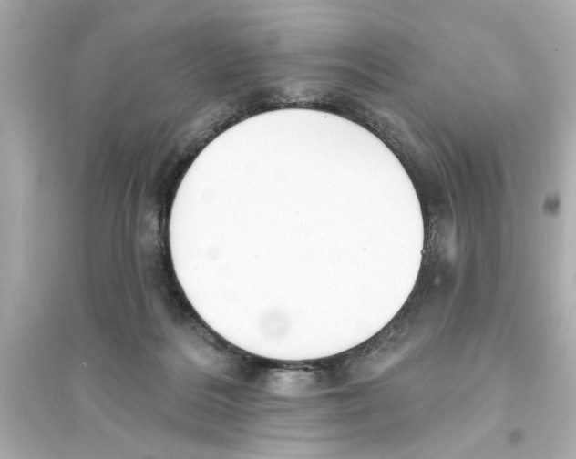 X0000093580220200711121108