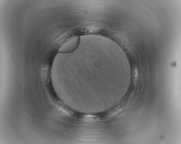 X0000093580222200711121108