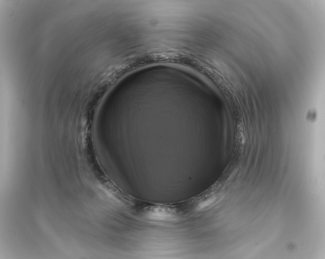 X0000093580223200711121108