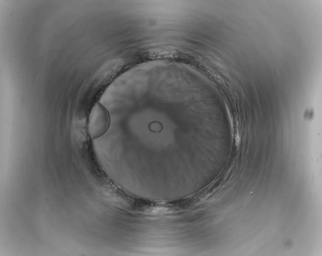 X0000093580224200711121108