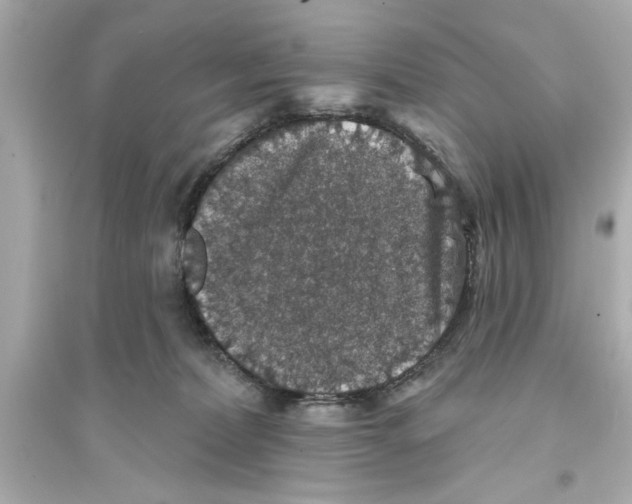 X0000093580228200711121108