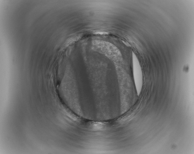 X0000093580229200711121108