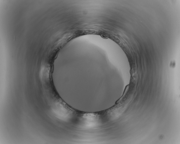 X0000093580231200711121108