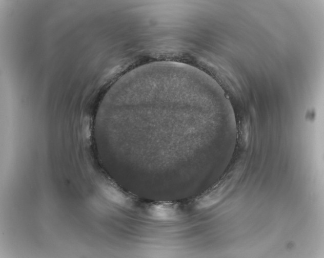 X0000093580232200711121108