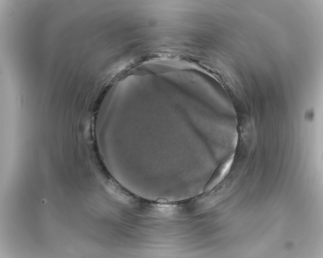 X0000093580233200711121108