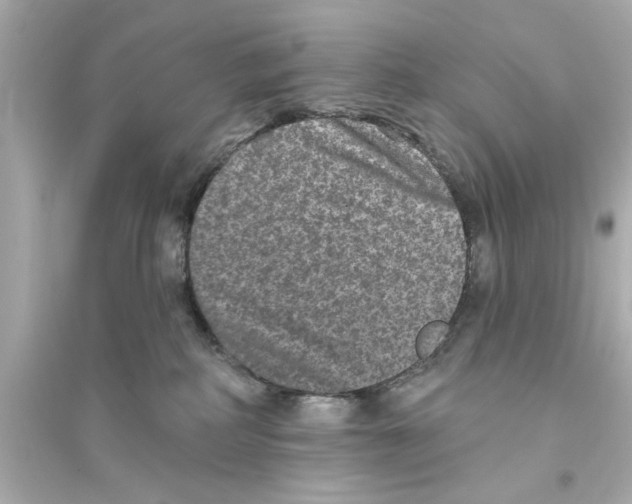 X0000093580234200711121108