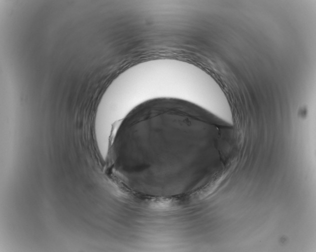 X0000093580235200711121108