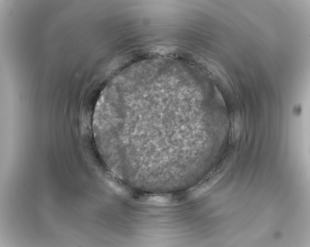 X0000093580236200711121108