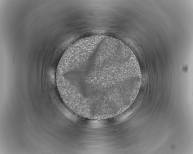 X0000093580238200711121108