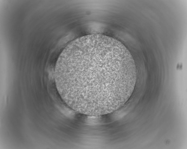 X0000093580240200711121108