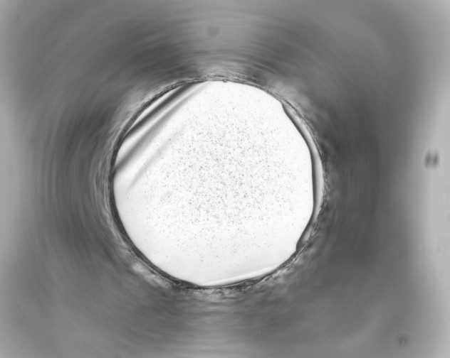 X0000093580241200711121107