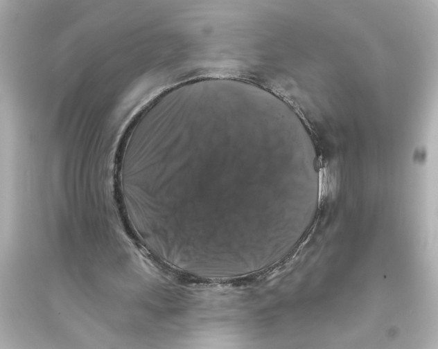 X0000093580243200711121107