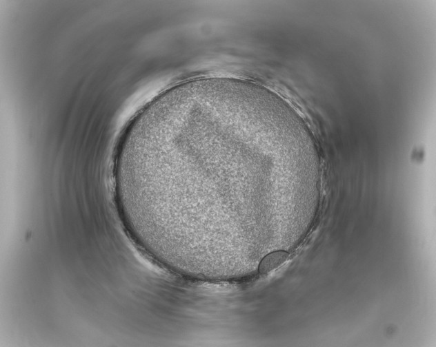 X0000093580245200711121107