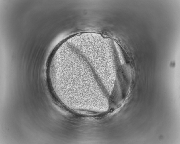 X0000093580246200711121107