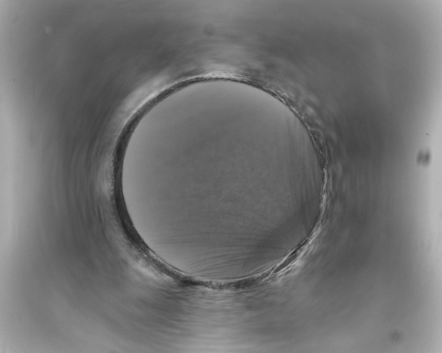 X0000093580247200711121107