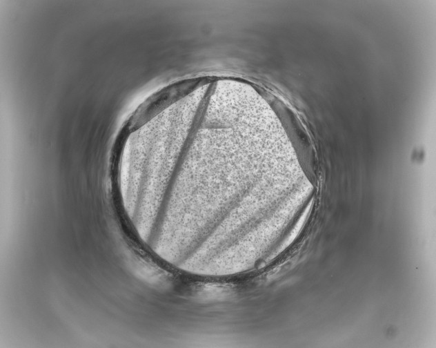 X0000093580248200711121107