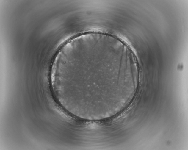 X0000093580249200711121107