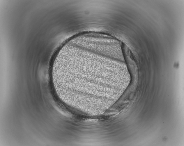 X0000093580252200711121107