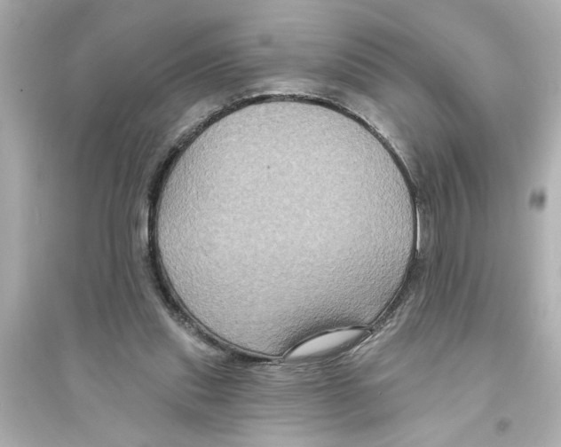 X0000093580253200711121107