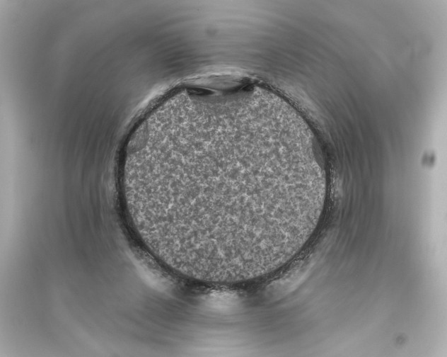 X0000093580256200711121107