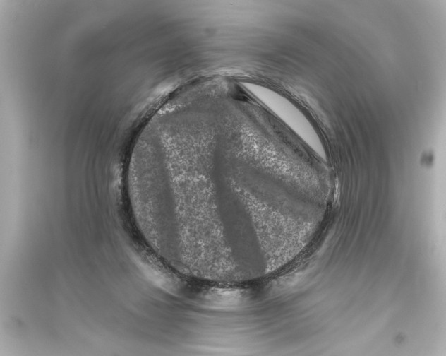 X0000093580260200711121107