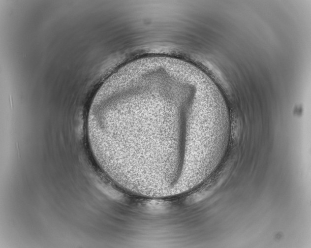 X0000093580261200711121107