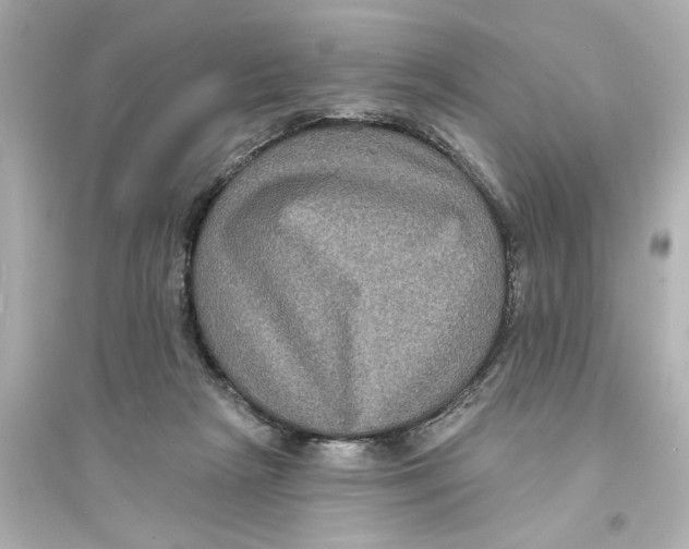 X0000093580265200711121108