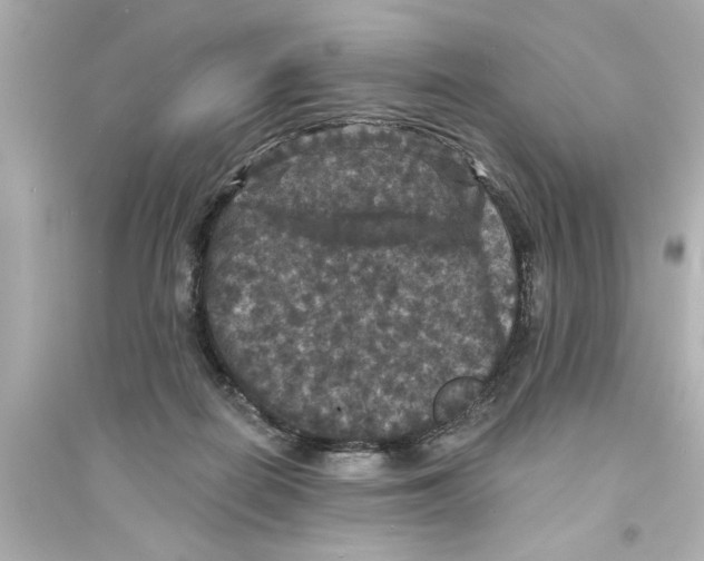 X0000093580266200711121108