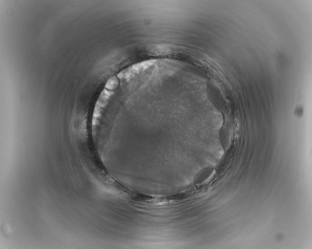 X0000093580267200711121108