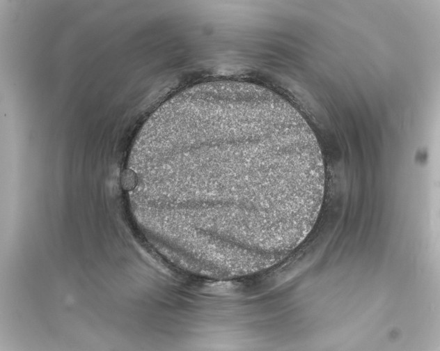 X0000093580269200711121108