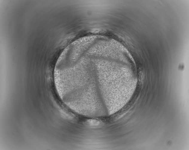 X0000093580272200711121108